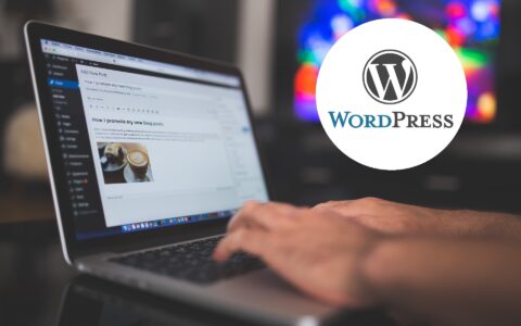 13款好用的WordPress SEO插件推荐